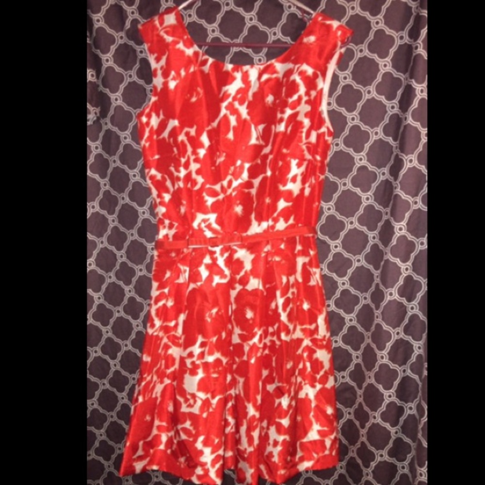 Danny and Nicole dress